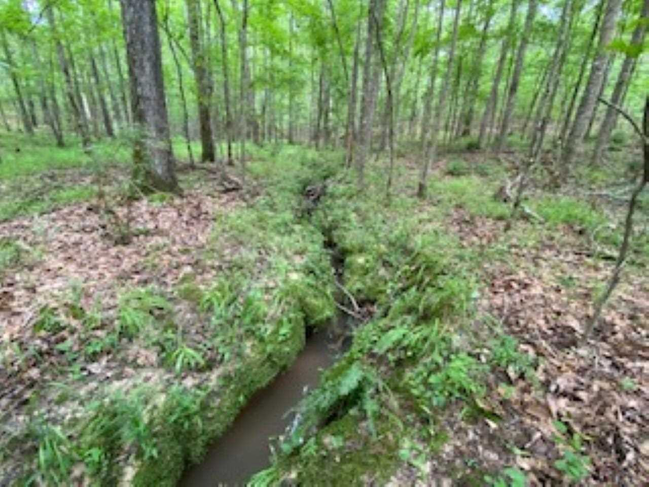 123 Pinola Braxton Road Braxton, MS 39044 - Photo 25 of 44 Photo 25