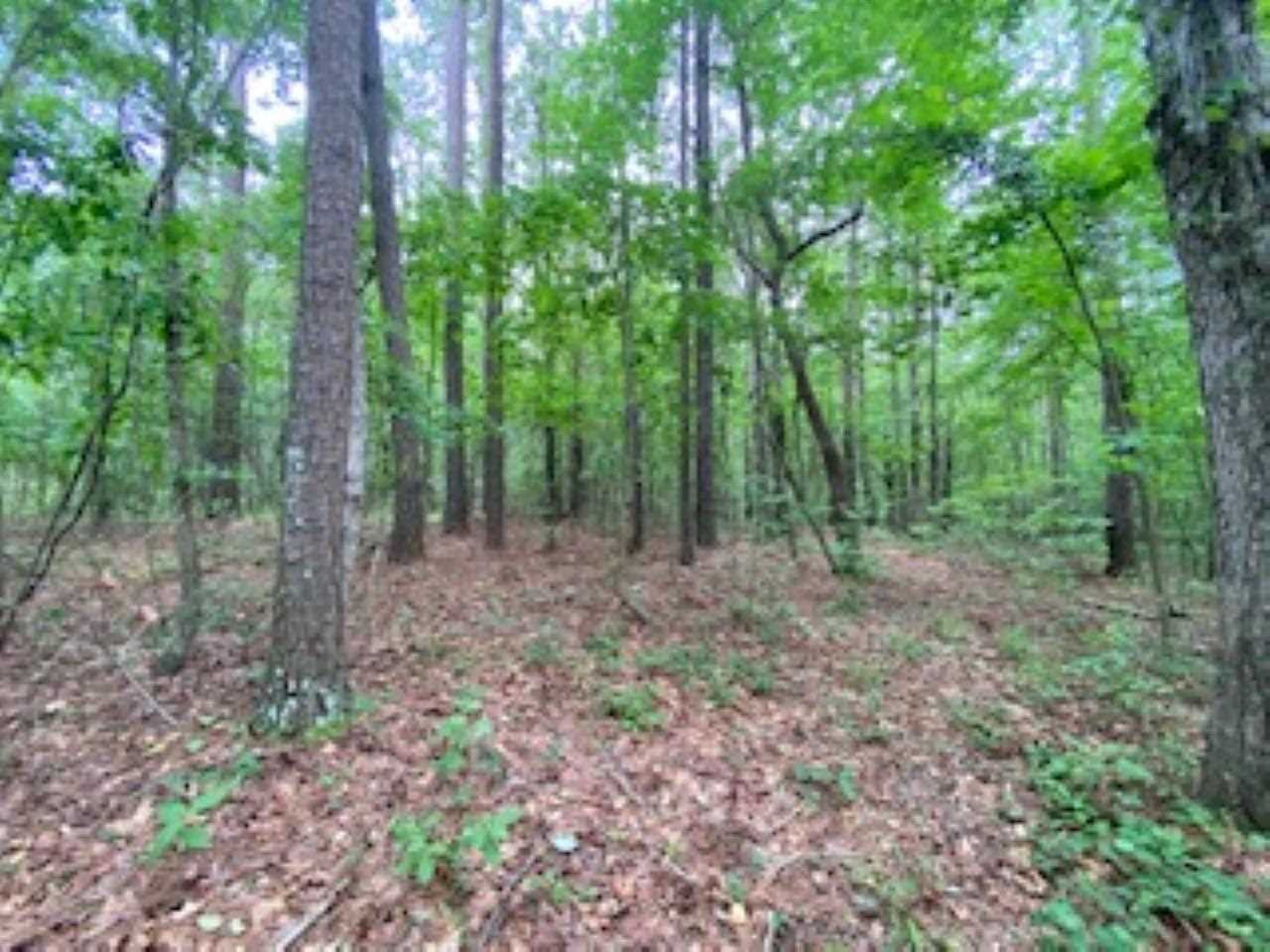 123 Pinola Braxton Road Braxton, MS 39044 - Photo 8 of 44 Photo 8