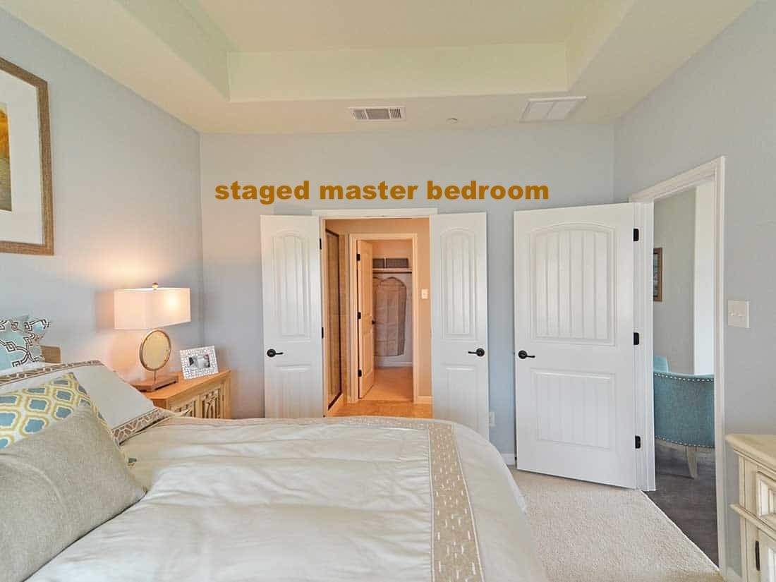 1612 Airedale Road Austin, TX 78748 - Photo 5 of 26 Bedroom with a tray ceiling and light carpet