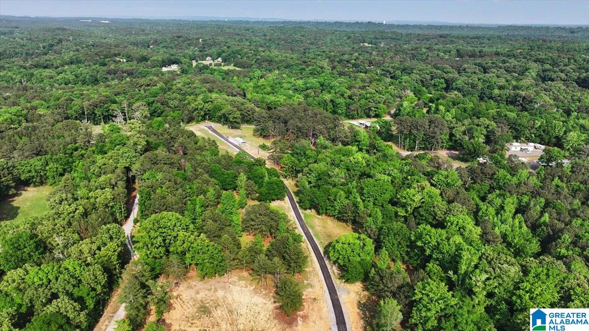 4550 Newbold Road Bessemer, AL 35022 - Photo 32 of 99
