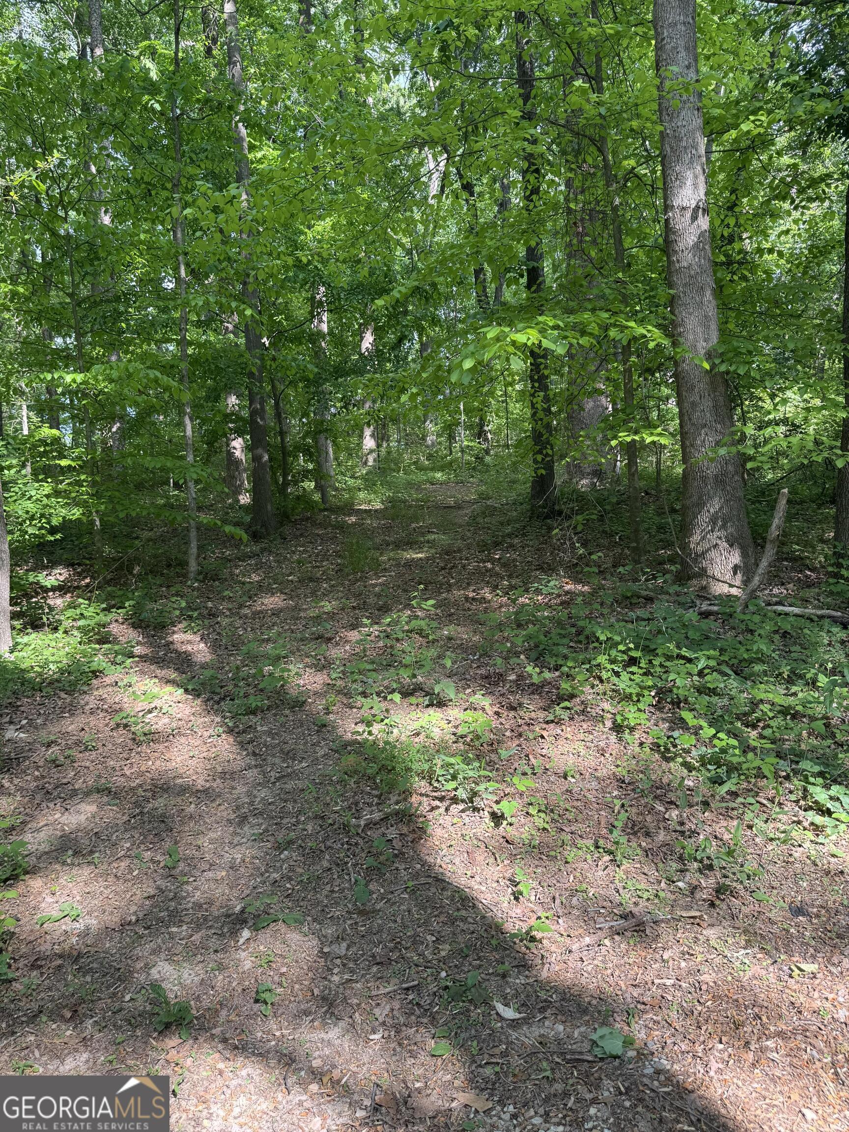 780 Bellamy Road Lula, GA 30554 - Photo 24 of 26