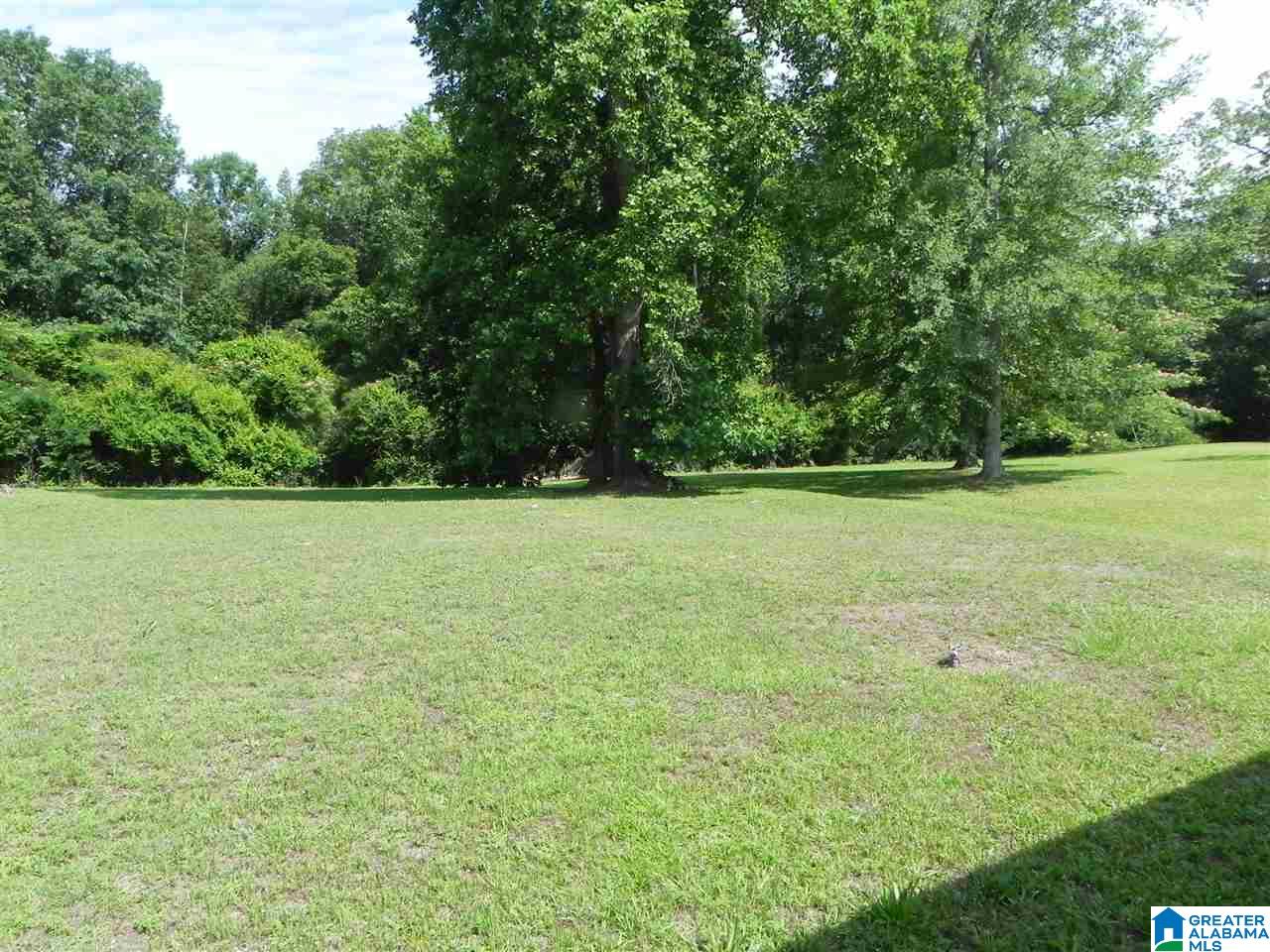 7201 Warrior River Road Bessemer, AL 35023 - Photo 7 of 10