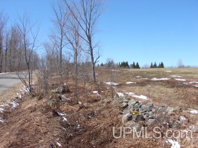 Tbd Section 22 Road Iron River, MI 49935 - Photo 2 of 4