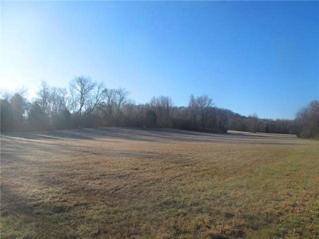 0 Abernathy Road Lynnville, TN 38472 - Photo 8 of 15 Gallery Image 8