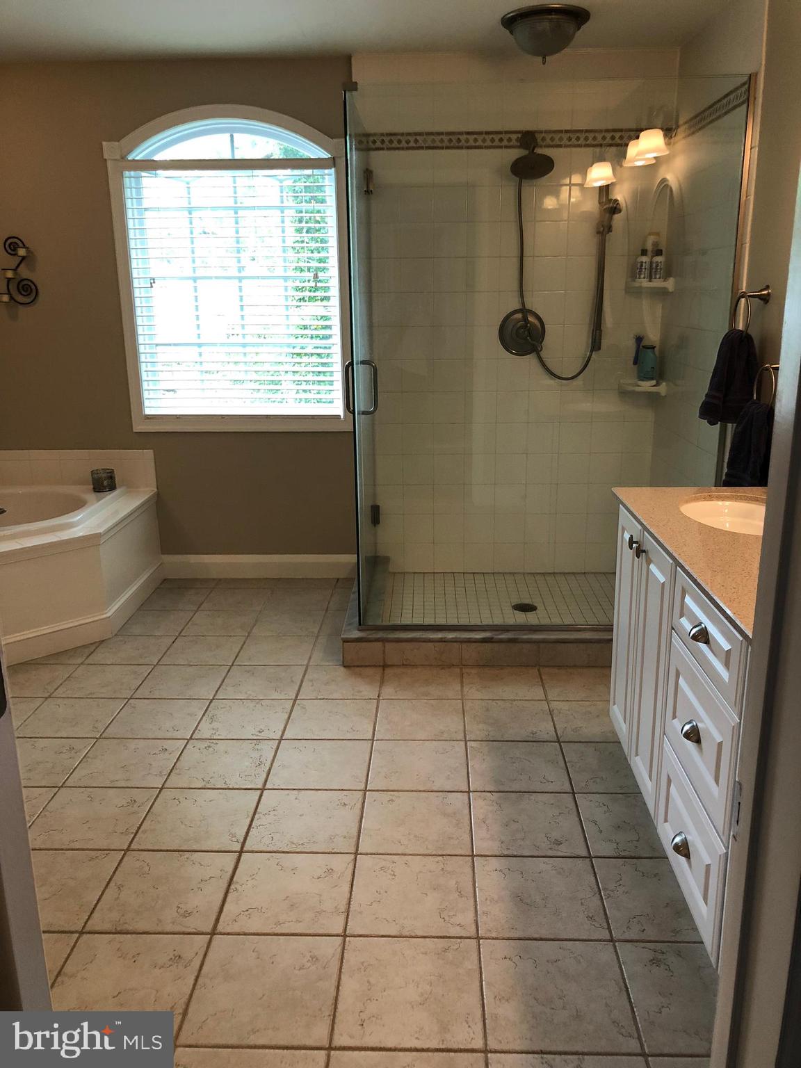 8211 Alston Road Baltimore, MD 21204 - Photo 24 of 41 Large Master Bathroom