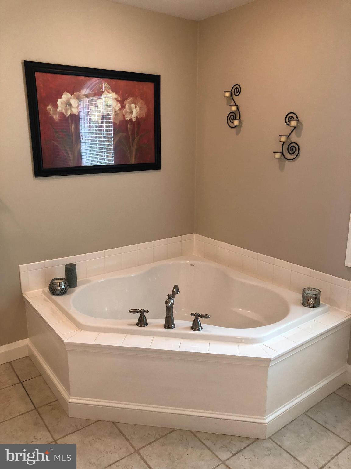 8211 Alston Road Baltimore, MD 21204 - Photo 27 of 41 Large Master Bathroom with Soaking Tub