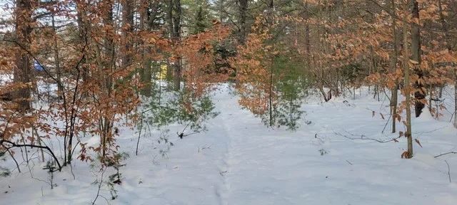 $68,700 | 29 Milford Avenue, Freedom, NH 03836