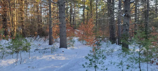 $68,700 | 29 Milford Avenue, Freedom, NH 03836