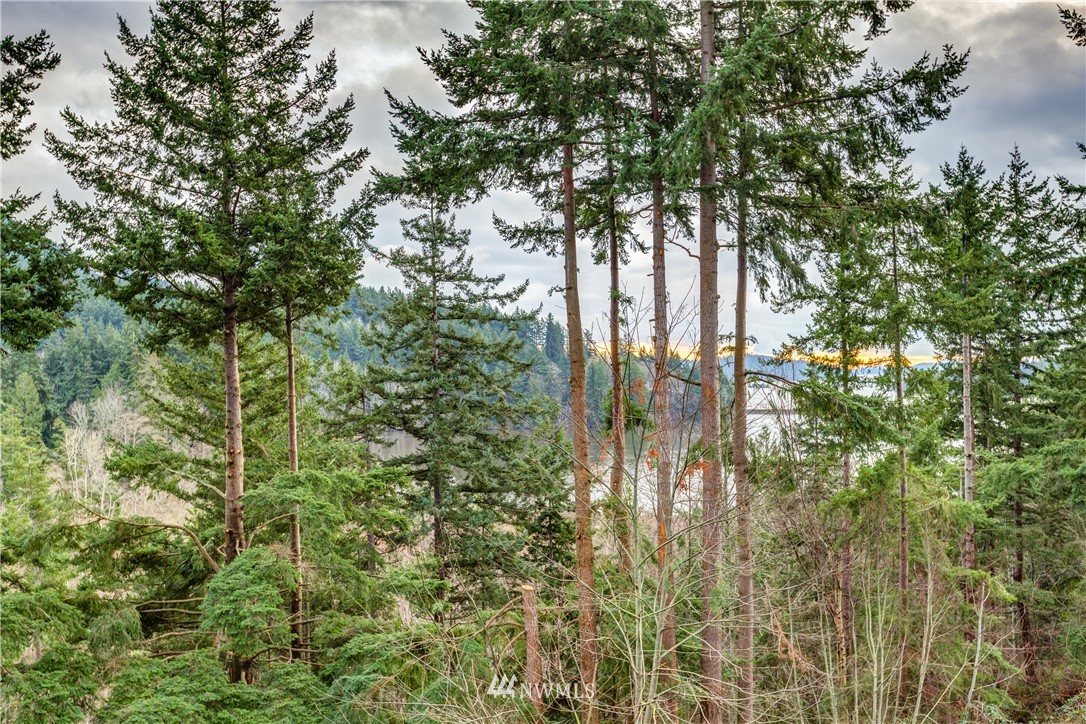 208 Sea Pines Road Bellingham, WA 98229 - Photo 8 of 34 a view of outdoor space and trees