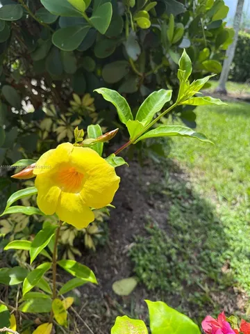 $5,900 | 1935 Arthur Street, Hollywood, FL 33020