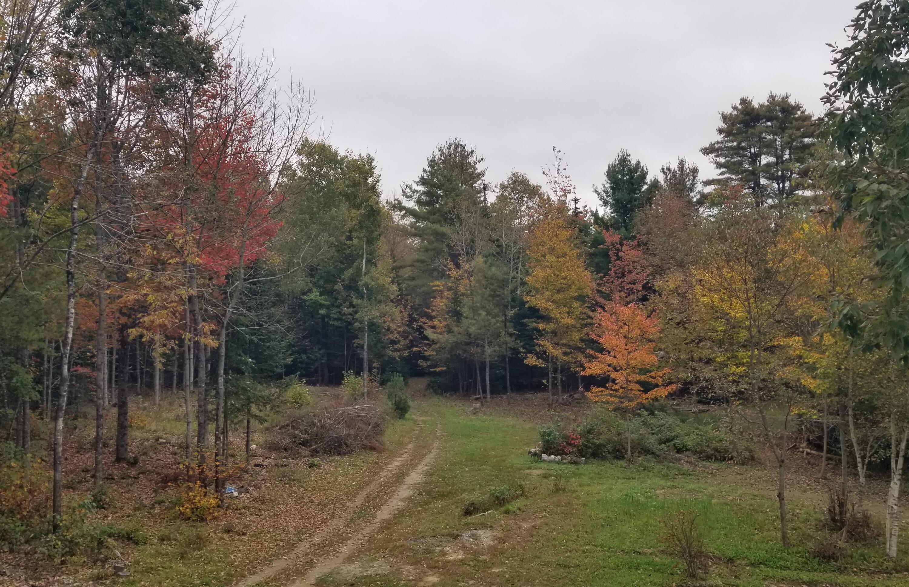 691 Stetson Road Exeter, ME 04435 - Photo 46 of 47 back yard fall