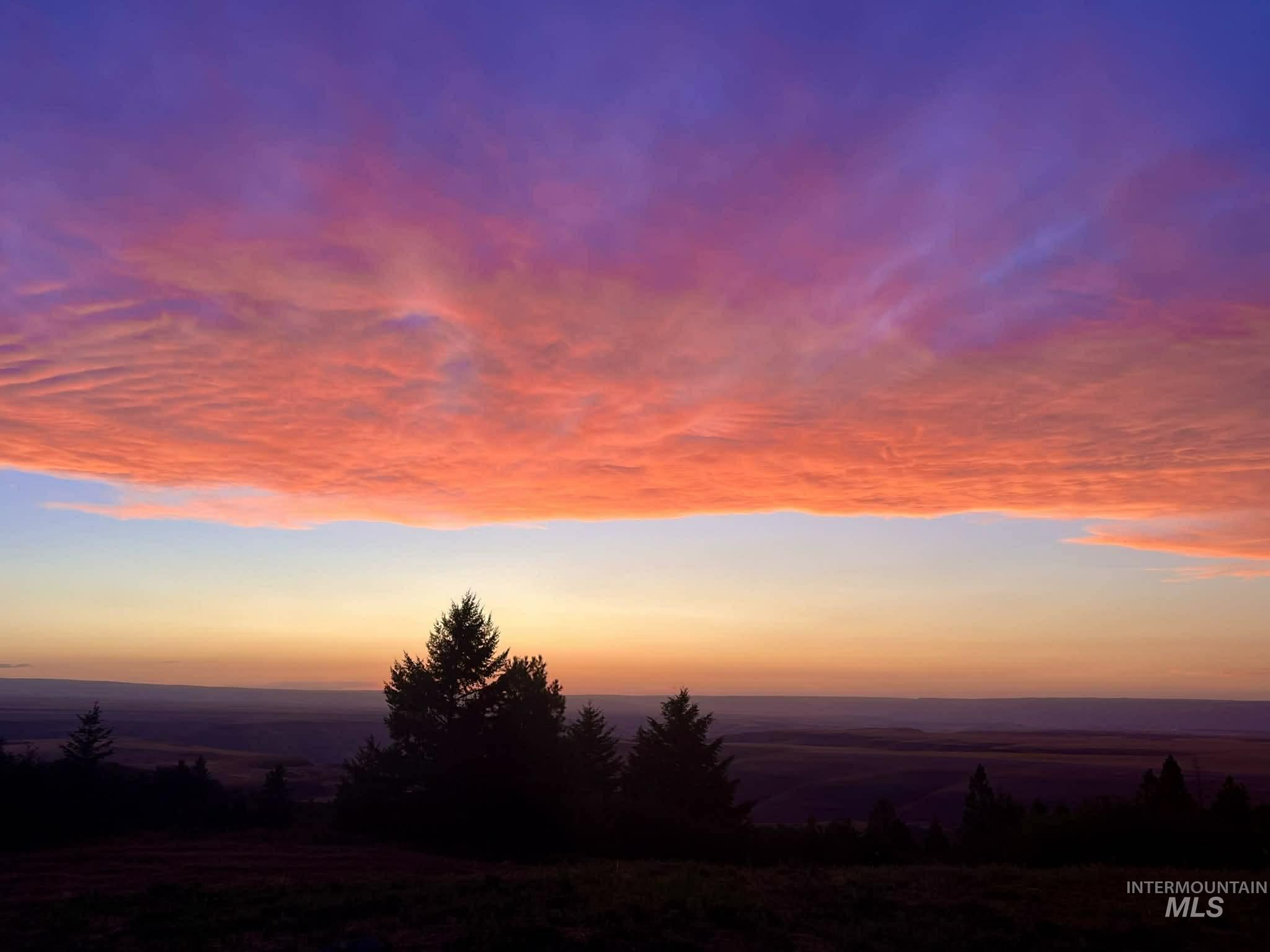 19378 Homestead Loop Lewiston, ID 83501 - Photo 24 of 42 View of nature