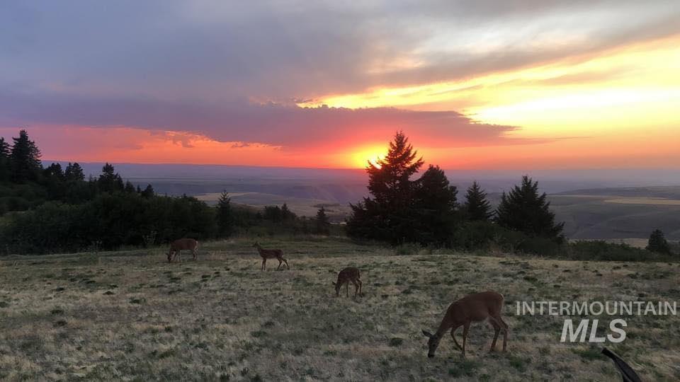 19378 Homestead Loop Lewiston, ID 83501 - Photo 28 of 42 View of mountain backdrop featuring rural landscape and a pastoral area