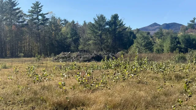 $385,000 | 0 Us Route 302, Unit LOT 273L00, Bartlett, NH 03812