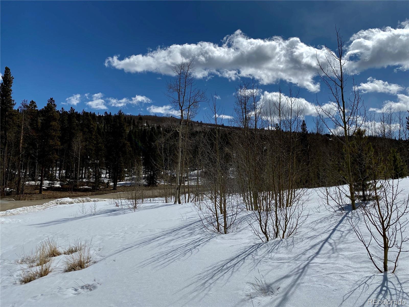 Lot 50 Glacier Ridge Road Alma, CO 80420 - Photo 3 of 6 Gallery Image 3