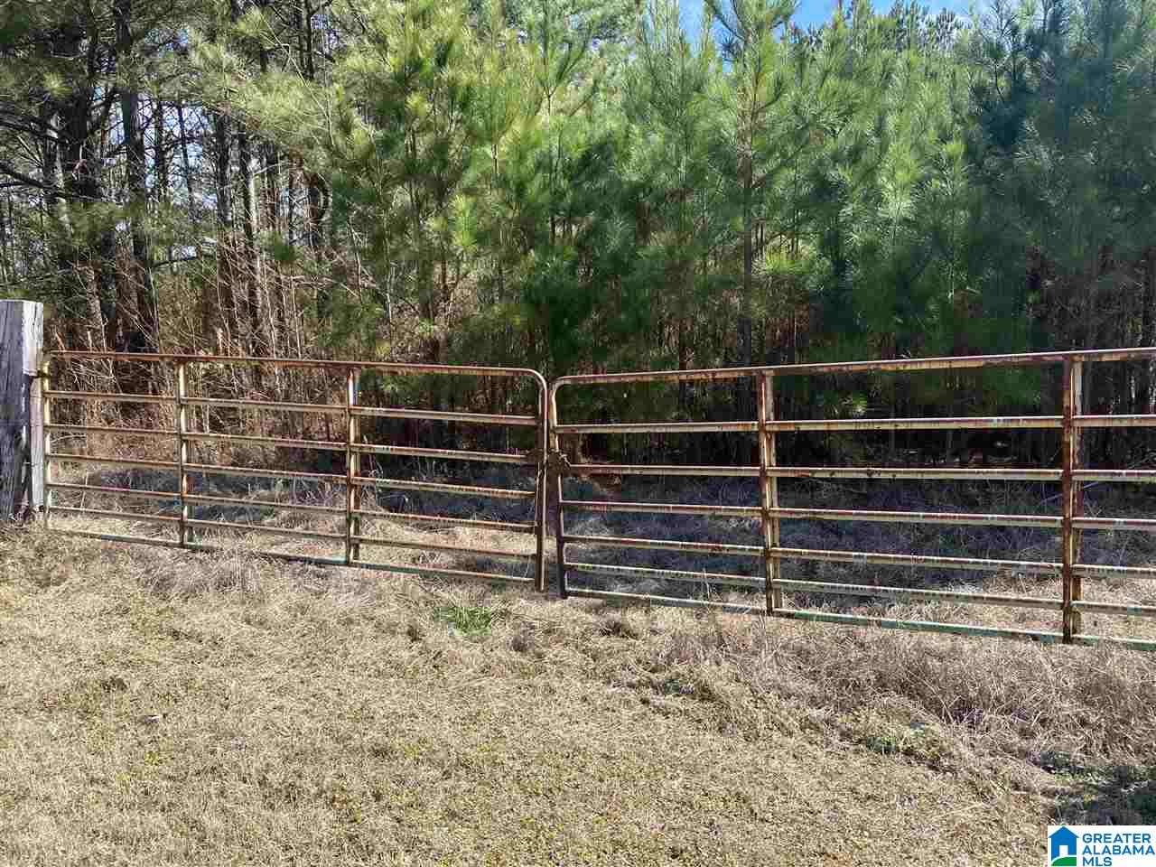 1560 Oren Miller Road, Unit 1 Warrior, AL 35180 - Photo 2 of 19