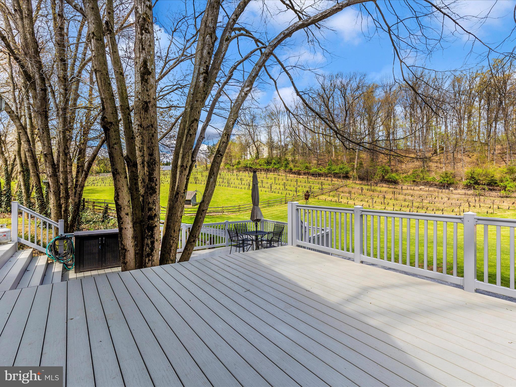 111 Bachmans Valley Road Westminster, MD 21158 - Photo 63 of 97 Exterior Back