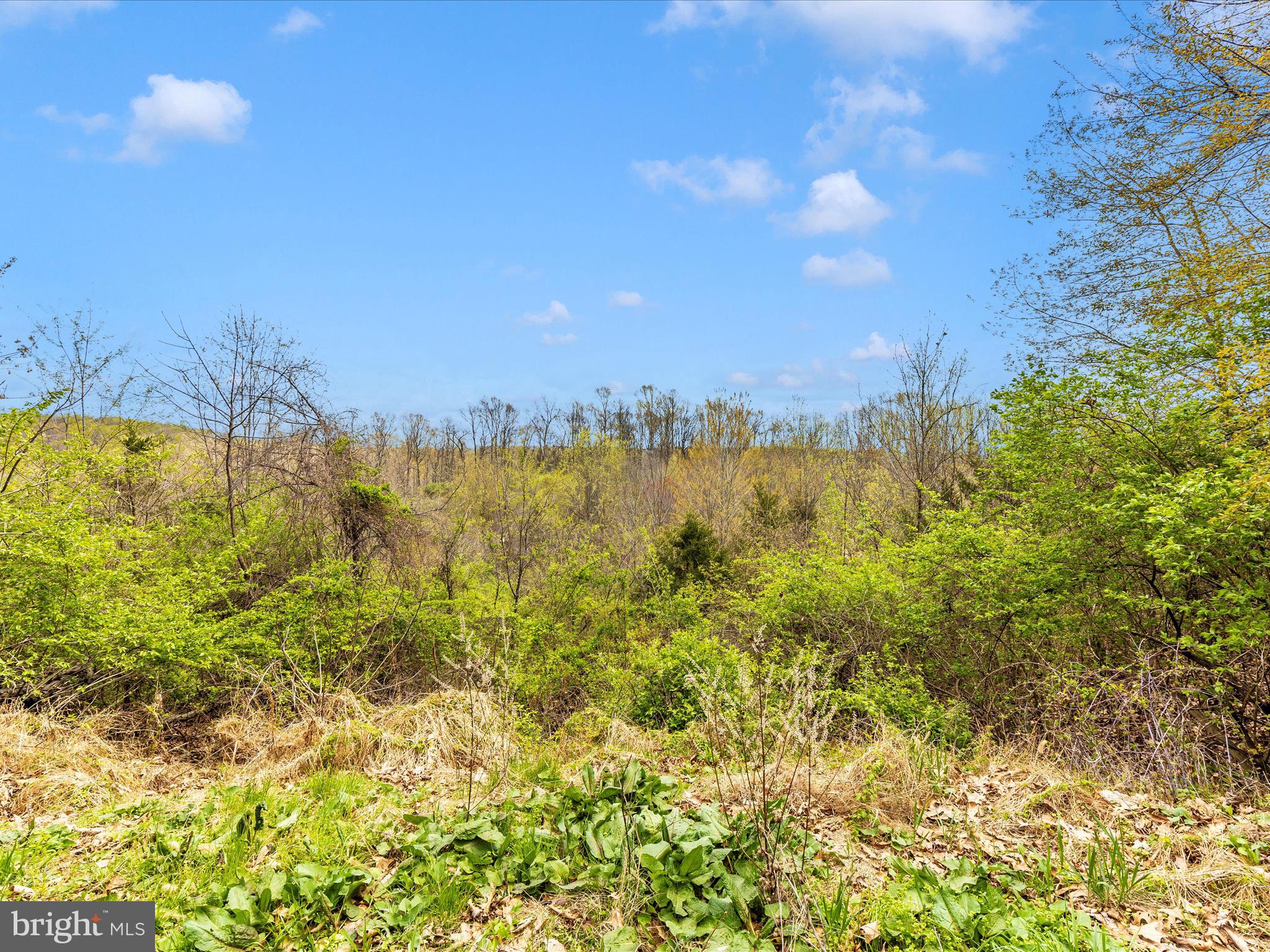 111 Bachmans Valley Road Westminster, MD 21158 - Photo 91 of 97 Exterior