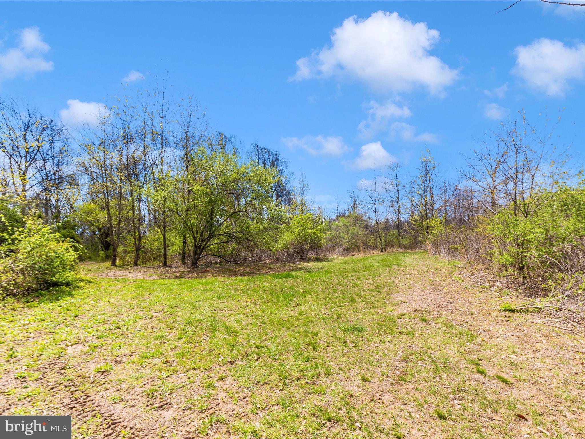 111 Bachmans Valley Road Westminster, MD 21158 - Photo 92 of 97 a view of a yard with a house