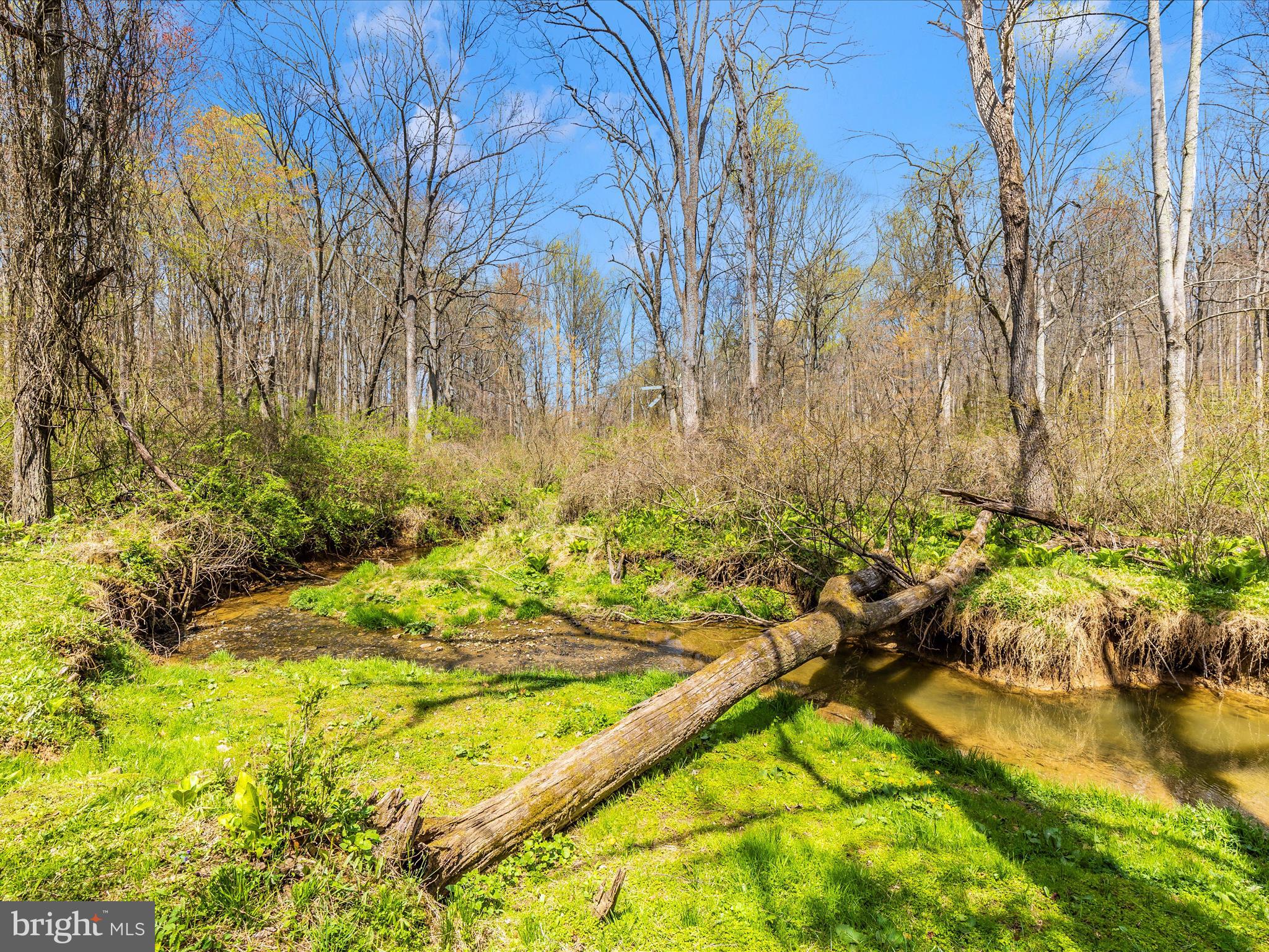 111 Bachmans Valley Road Westminster, MD 21158 - Photo 93 of 97 a view of swimming pool with large trees and lawn chairs