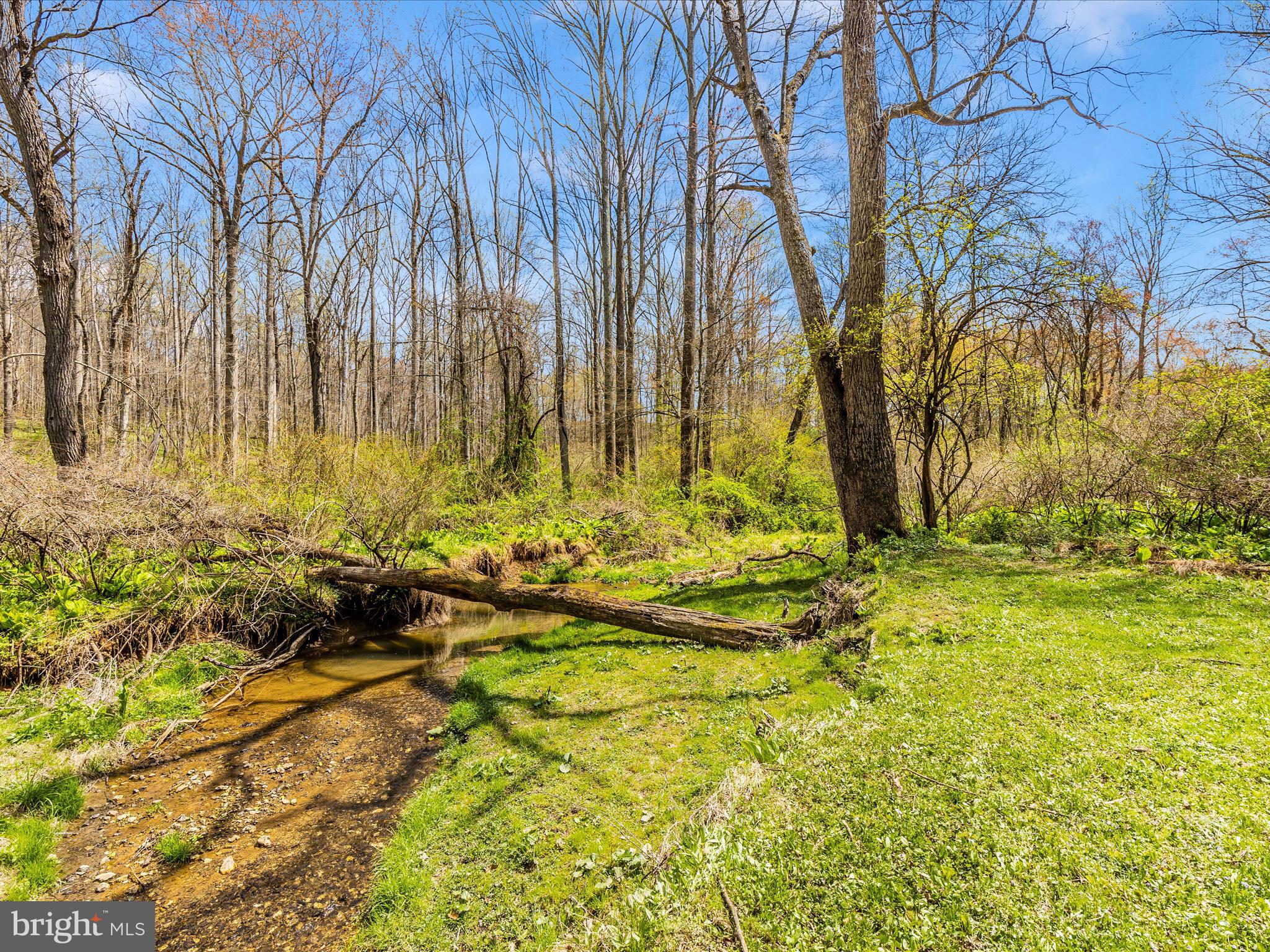 111 Bachmans Valley Road Westminster, MD 21158 - Photo 94 of 97 Exterior