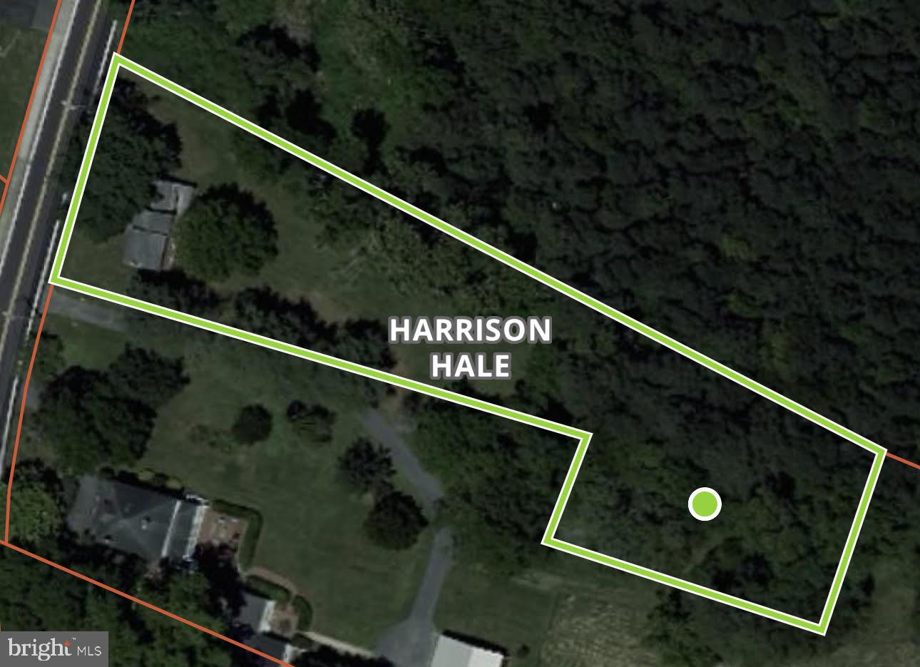 413 South Main Street Berlin, MD 21811 - Photo 3 of 3 a black and white photo of a tree