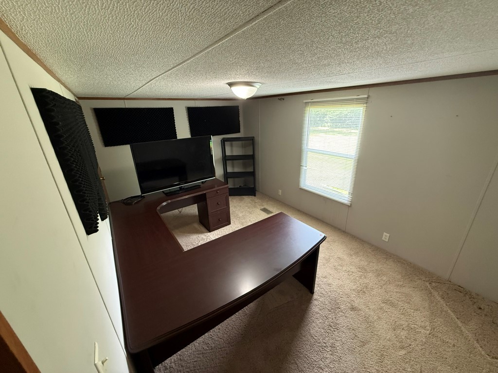 8192 Hant Hollow Road Rockvale, TN 37153 - Photo 17 of 22