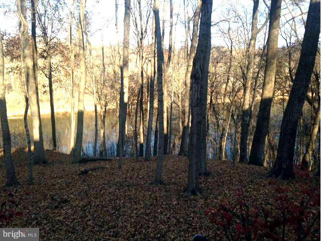 1393 Steamboat Run Road Shepherdstown, WV 25443 - Photo 4 of 14 View