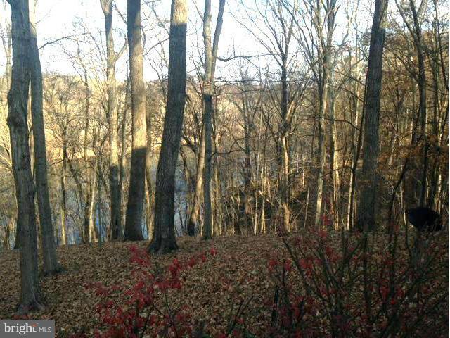 1393 Steamboat Run Road Shepherdstown, WV 25443 - Photo 5 of 14 View