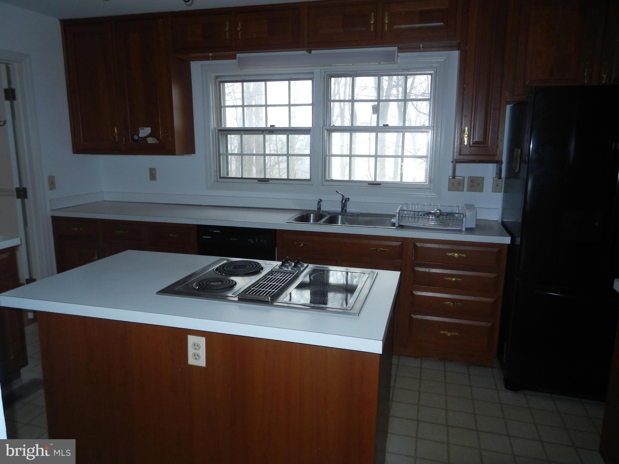 1393 Steamboat Run Road Shepherdstown, WV 25443 - Photo 9 of 14 Kitchen