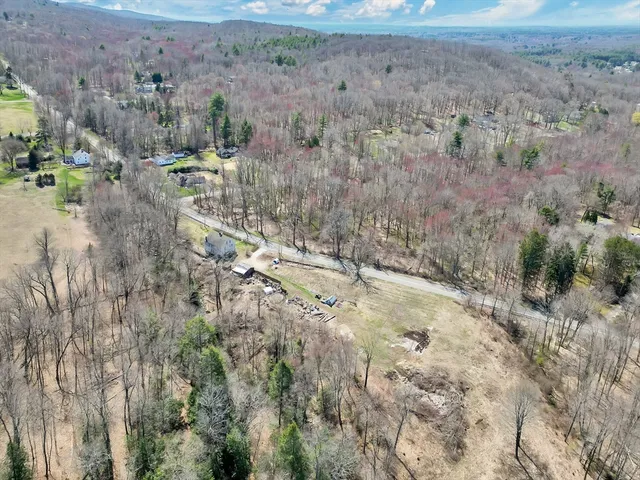 a view of lot of trees