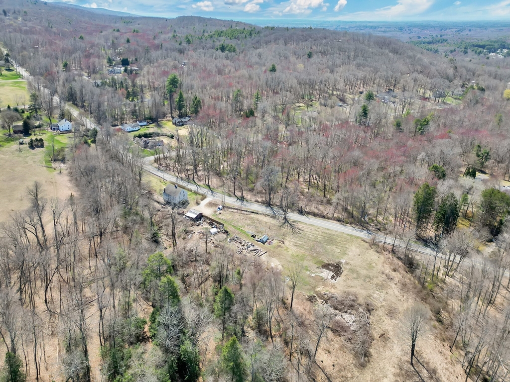 182 Mountain Road Wilbraham, MA 01095 - Photo 4 of 10 a view of lot of trees