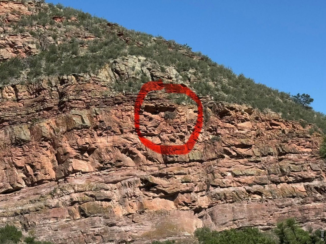 1115 Vision Way Lyons, CO 80540 - Photo 22 of 32 Nest location on the cliff