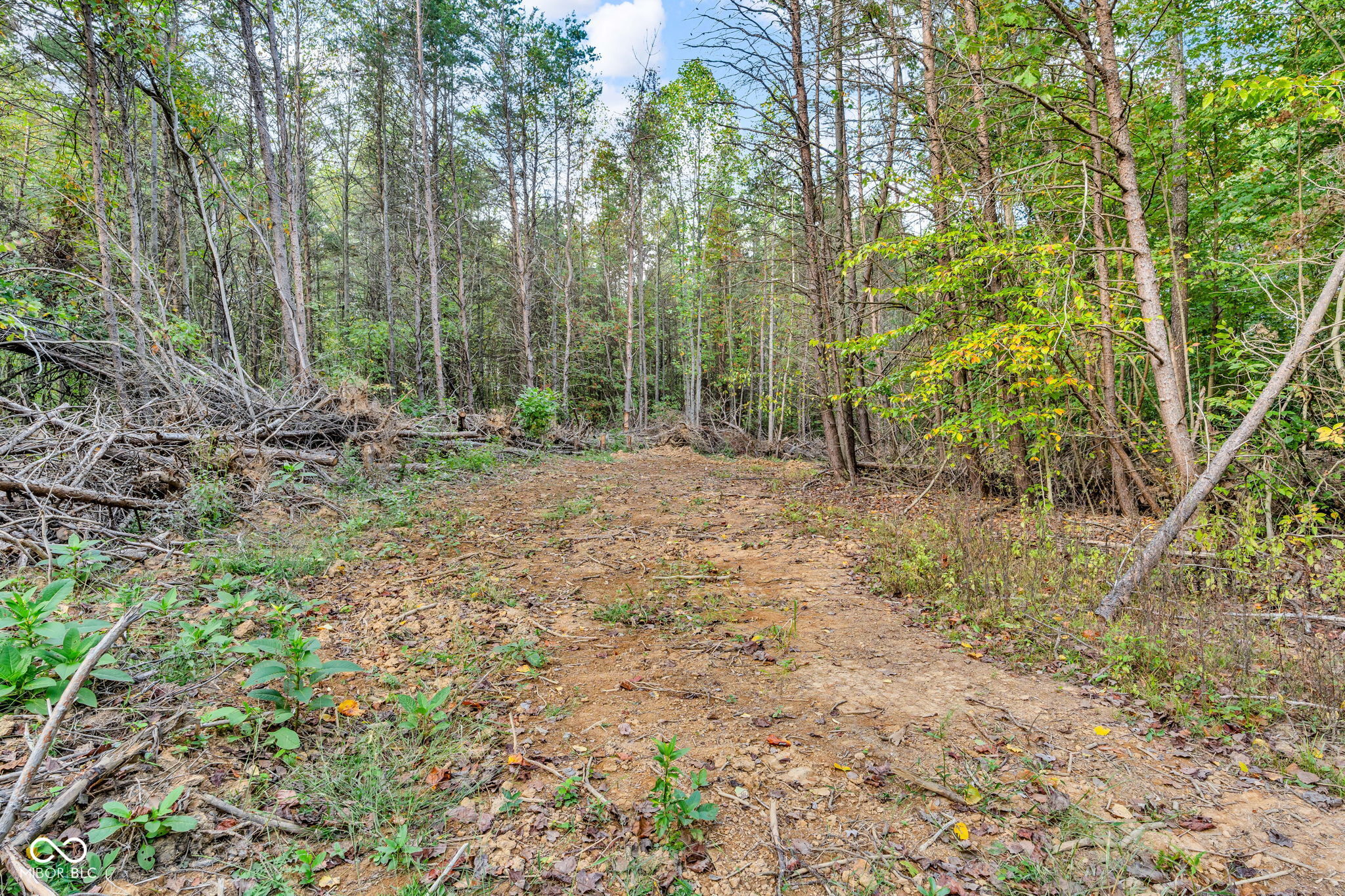 0 Ferndale East Road Rockville, IN 47872 - Photo 12 of 20