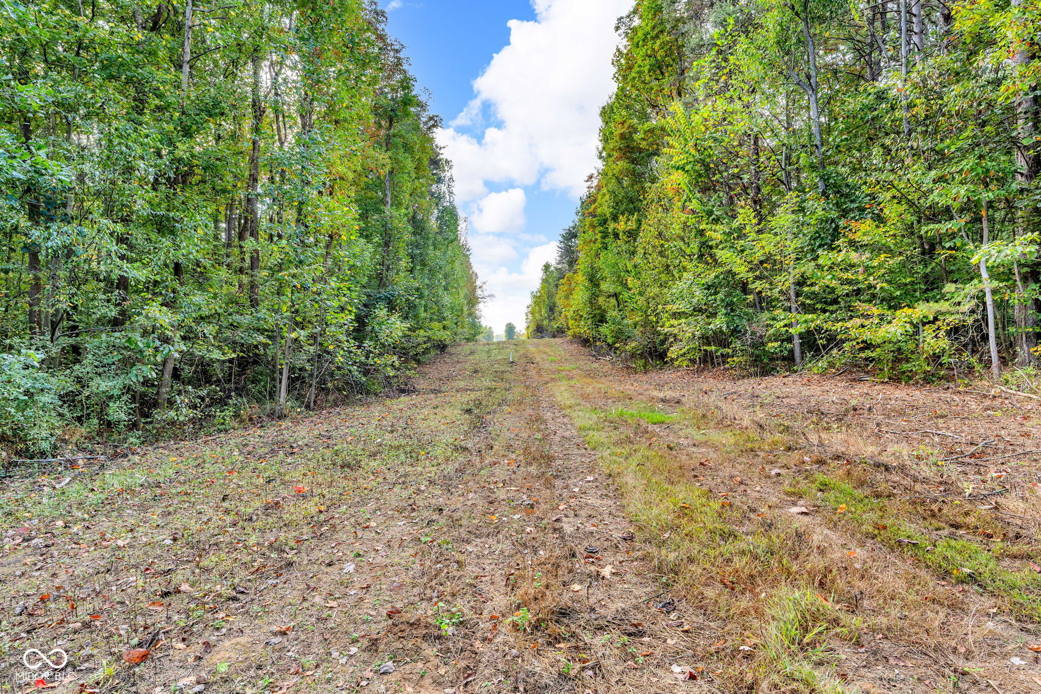 0 Ferndale East Road Rockville, IN 47872 - Photo 13 of 20