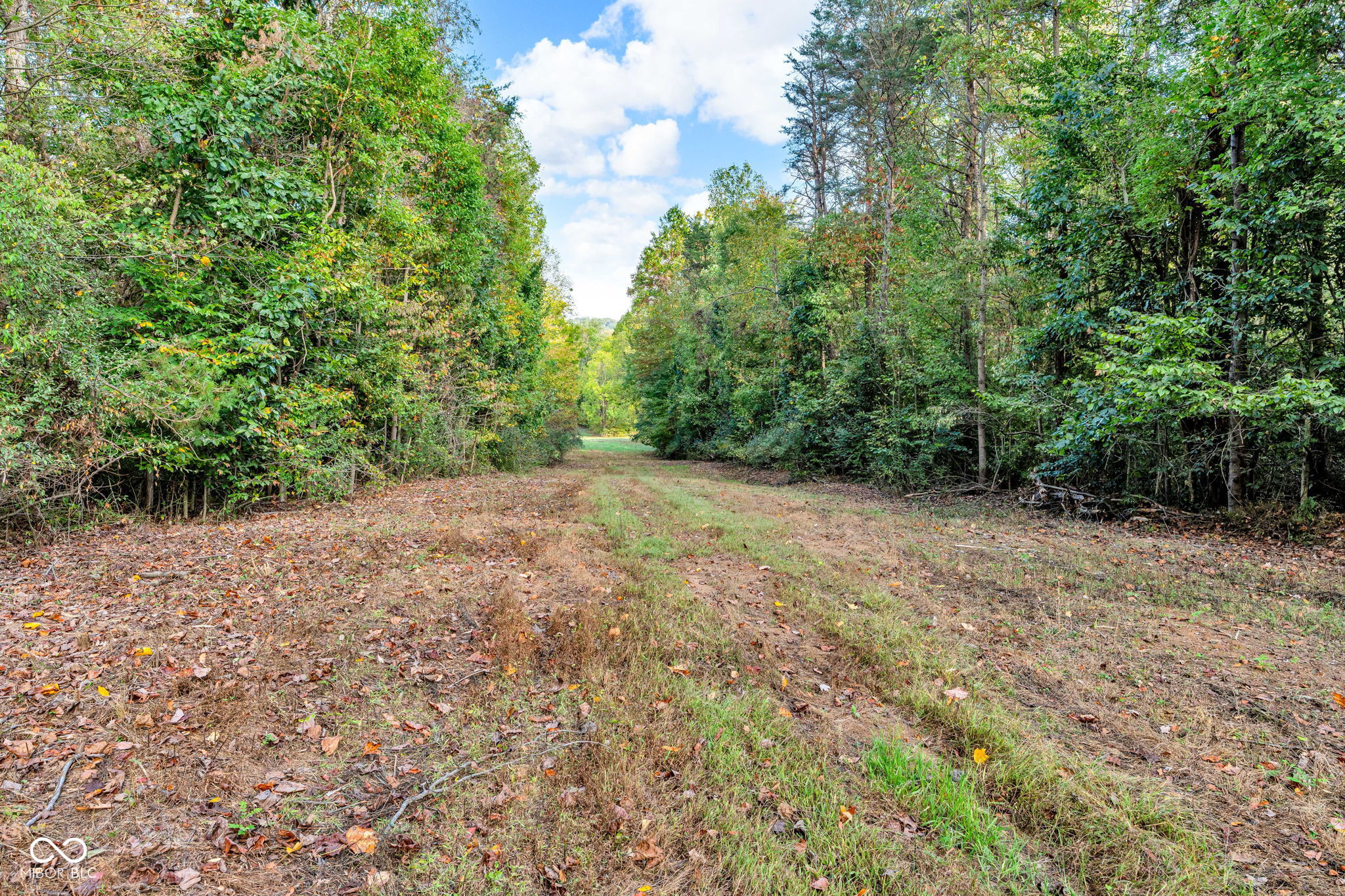 0 Ferndale East Road Rockville, IN 47872 - Photo 10 of 20