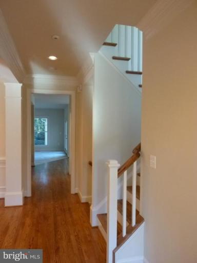 4517 25th Road North Arlington, VA 22207 - Photo 5 of 26 Hallway