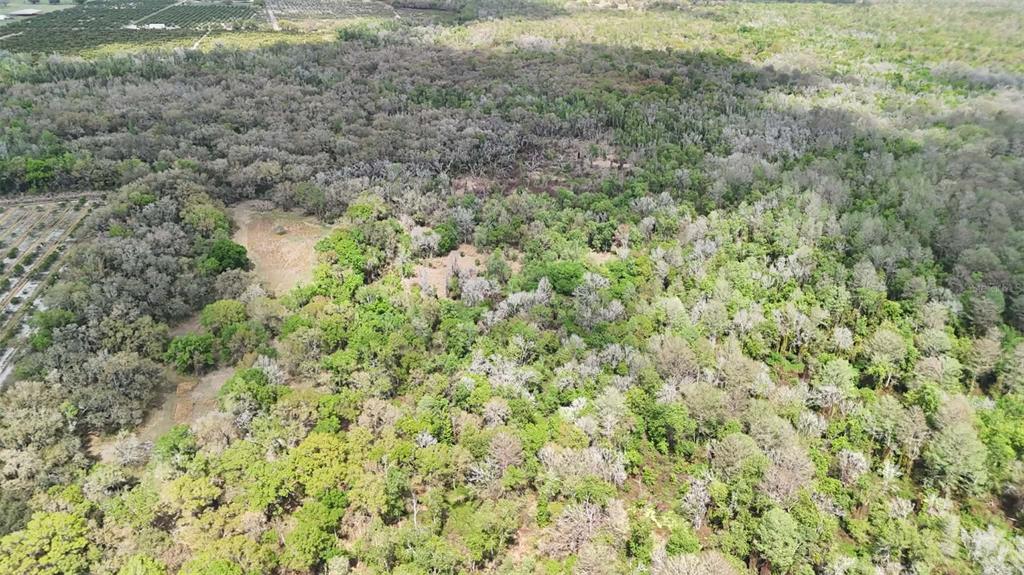 Gillette Road Zolfo Springs, FL 33890 - Photo 59 of 86 Gallery Image 59
