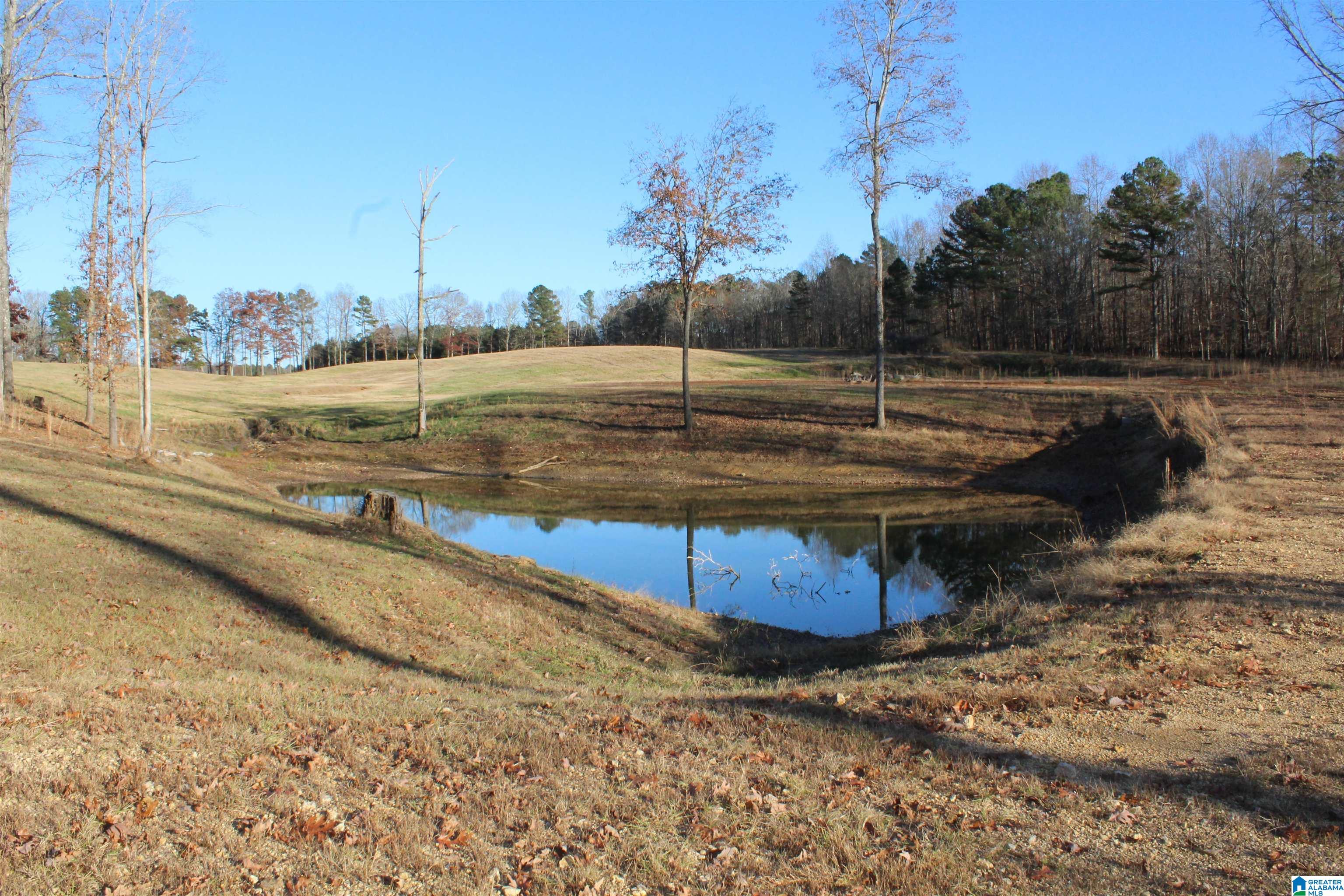 589 Morris Road Pell City, AL 35128 - Photo 28 of 29