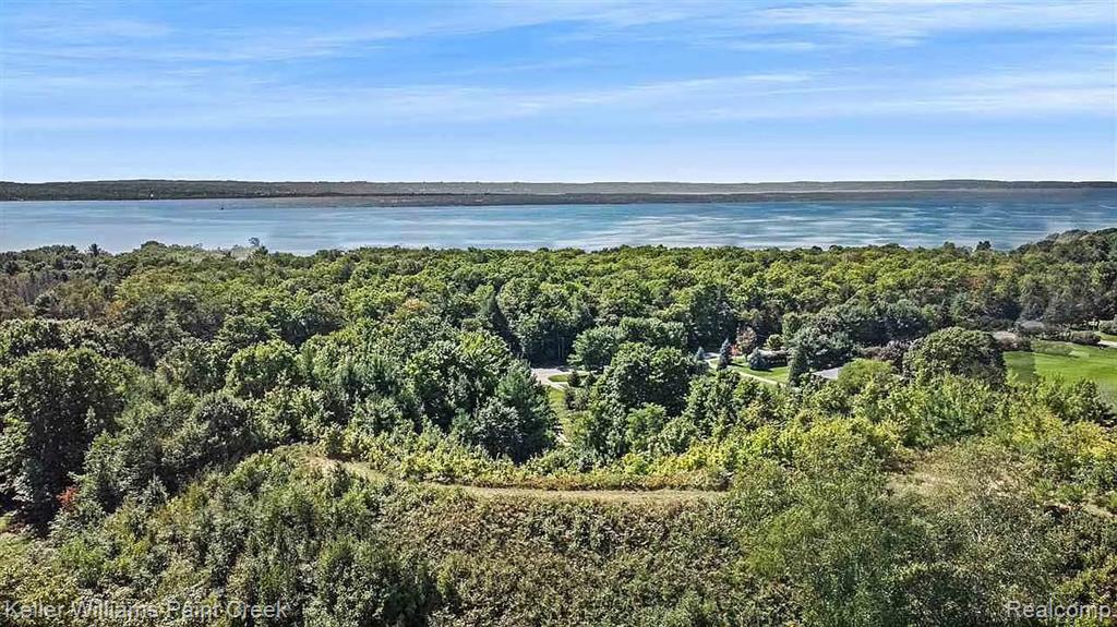 8050 Broken Ridge East Harbor Springs, MI 49740 - Photo 6 of 13