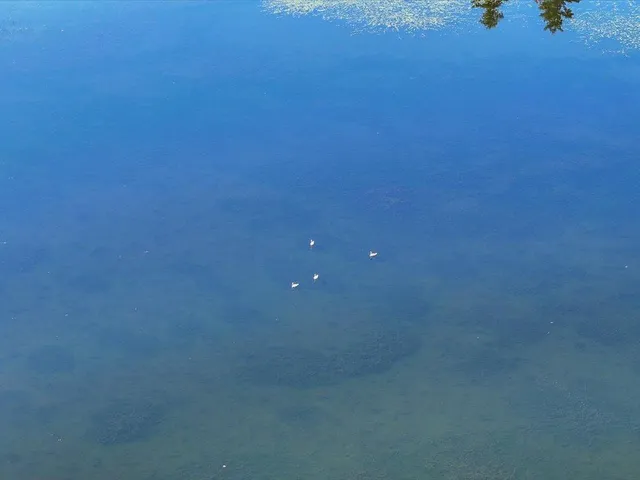 $975,000 | 84 St Longville Mn 56655, Longville, MN 56655