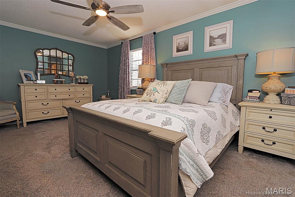 2418 Old Cape Road Jackson, MO 63755 - Photo 19 of 44