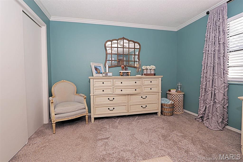 2418 Old Cape Road Jackson, MO 63755 - Photo 20 of 44