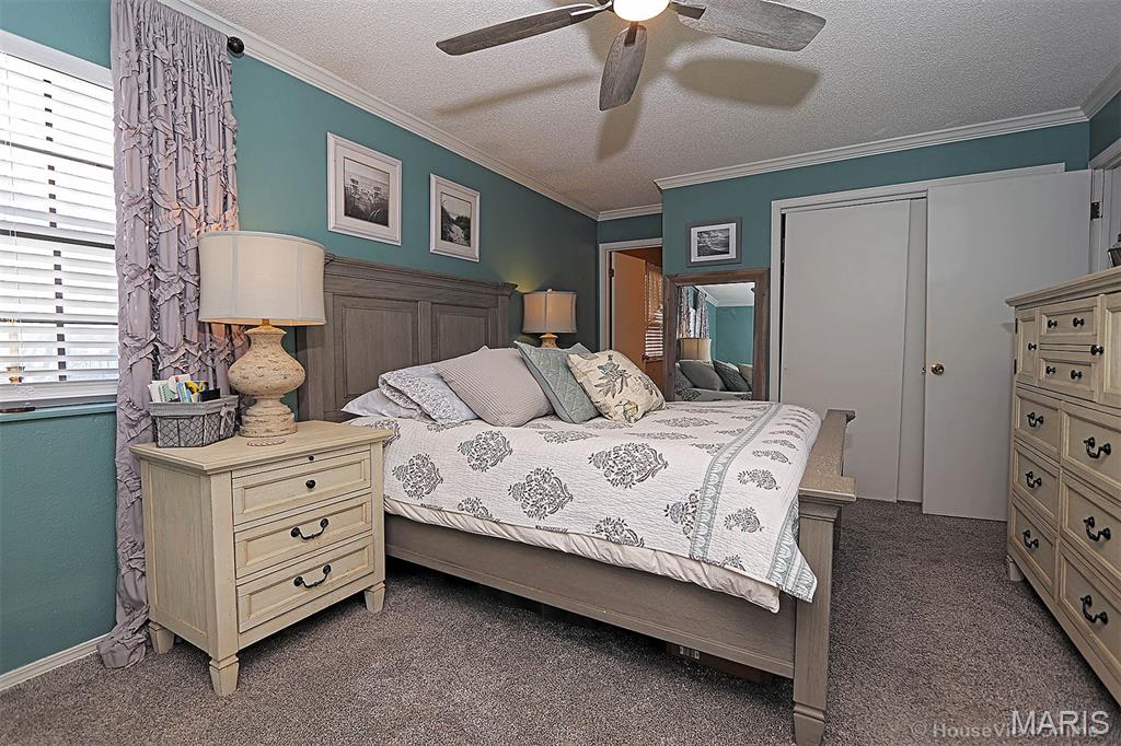 2418 Old Cape Road Jackson, MO 63755 - Photo 21 of 44