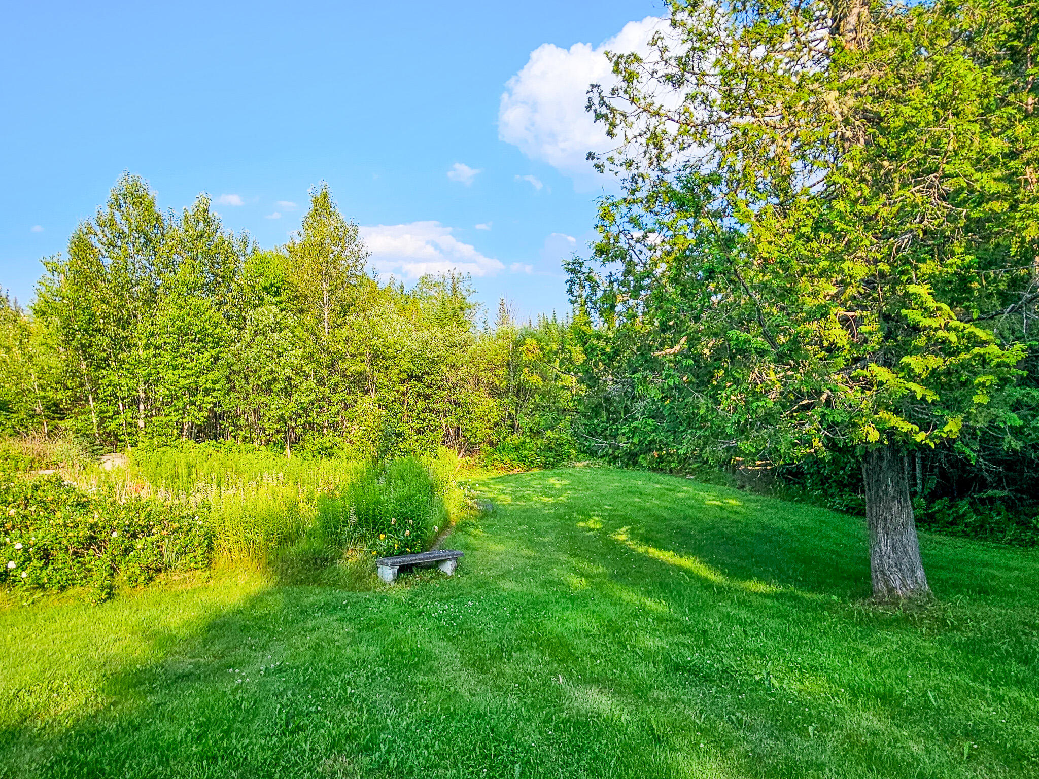 669 Dallas Hill Road Rangeley, ME 04970 - Photo 119 of 136 20250715_180412