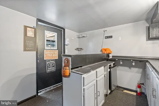 a view of a yard with a large tree