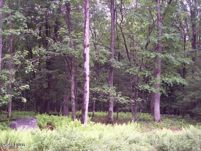 742 R Tink Wig Drive Hawley, PA 18428 - Photo 2 of 13