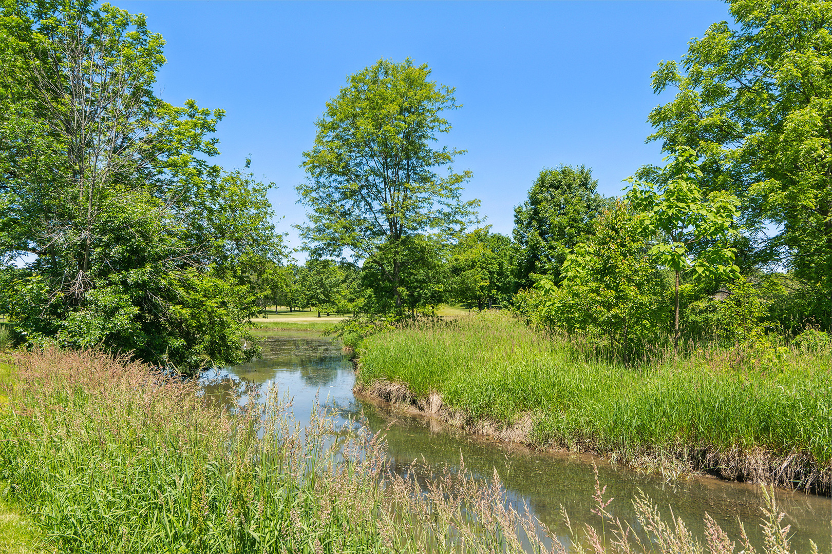561 Aberdeen Road Frankfort, IL 60423 - Photo 54 of 67