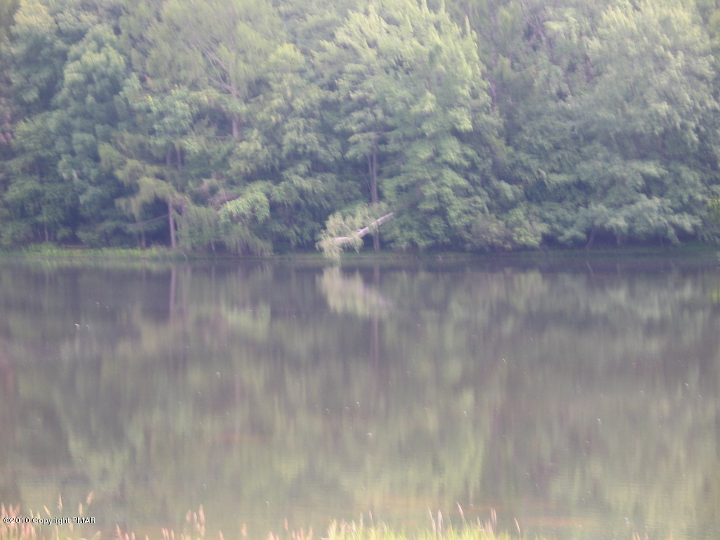 Summit Road Swiftwater, PA 18370 - Photo 11 of 12