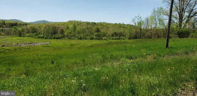 a view of a lush green space with a mountain in the background